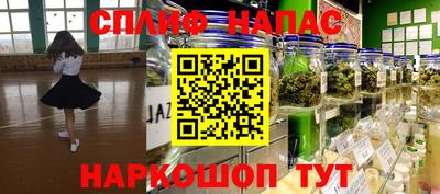прущие крисы Заводоуковск